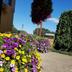 Outdoors view