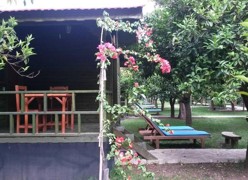 Patio Photo
