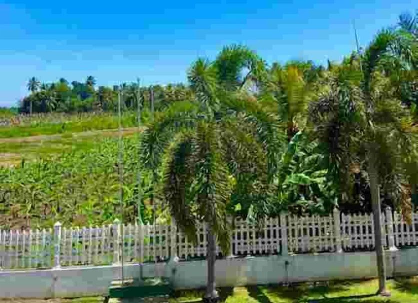 Outdoors view Photo