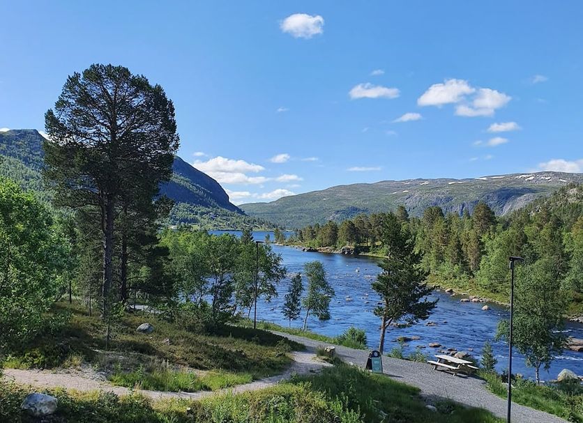 Outdoors view Photo