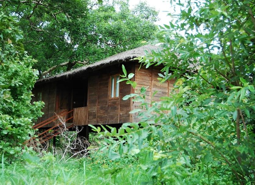 Outdoors view Photo