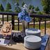 Crowne Plaza North Augusta by IHG buffet table with pastries, plates and blue flowers overlooking water