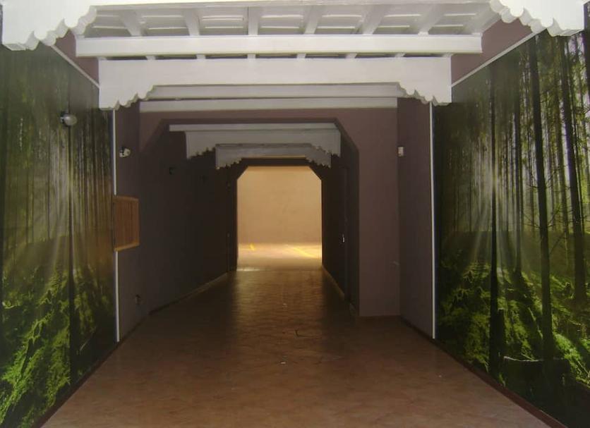 Other Photo