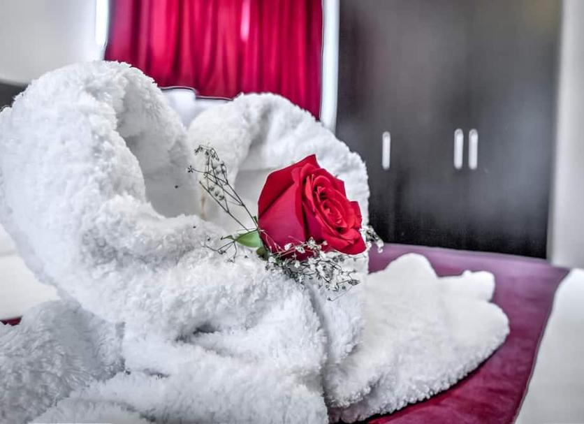 Room amenity Photo