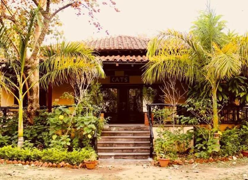 Outdoors view Photo