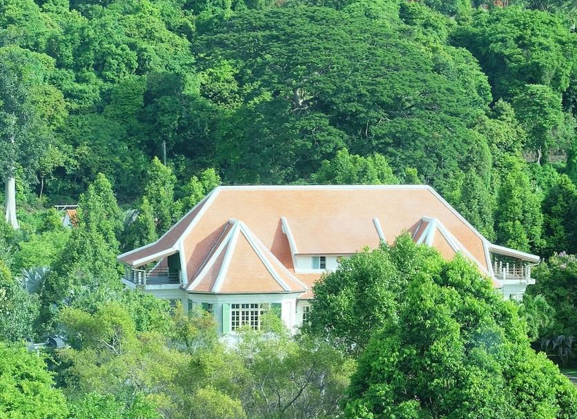 Other Photo