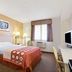 Super 8 by Wyndham Clearwater/St. Petersburg Airport room with two beds, desk, TV and window