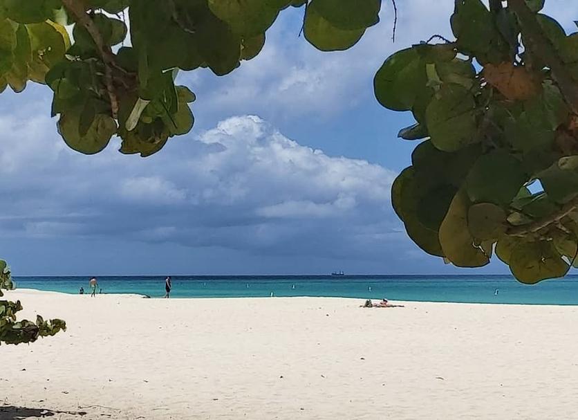 Beach Photo