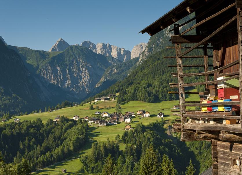 Outdoors view Photo