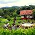 Outdoors view