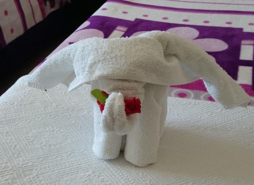 Room amenity Photo