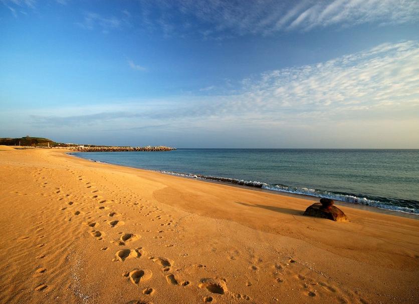 Beach Photo