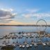 The Westin Washington National Harbor marina with Ferris wheel and waterfront view at National Harbor