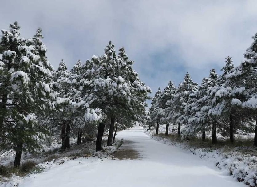 Outdoors view Photo