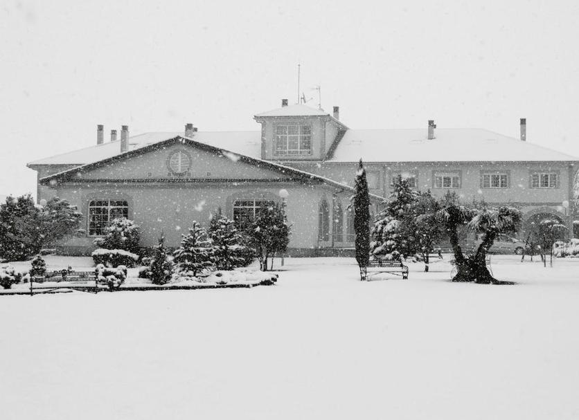 Other Photo