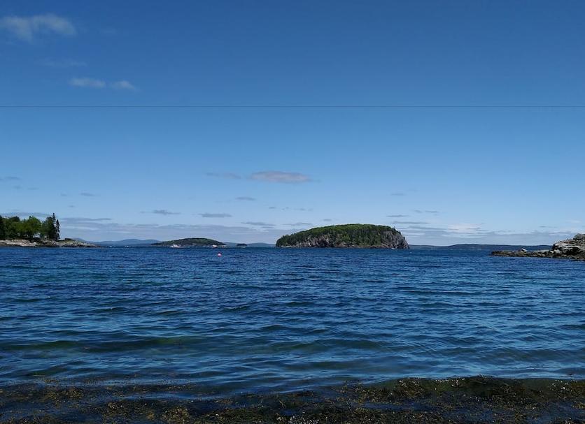 Other Photo