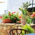 La Corte degli Spada - Borgo Antico del Salento in Mesagne: stone terrace with potted flowers and umbrella seating