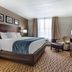 Comfort Inn & Suites Glen Mills - West Chester guest room with king bed, TV, chair and window seating area