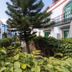 La Venecia de Canarias Puerto de Mogan courtyard with lush greenery and white balconies in Mogán