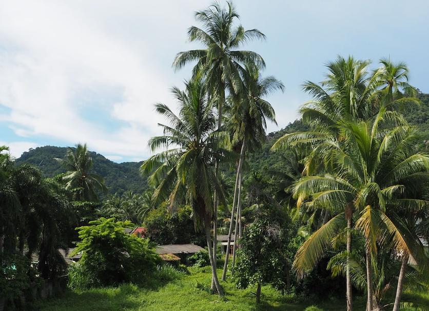 Outdoors view Photo