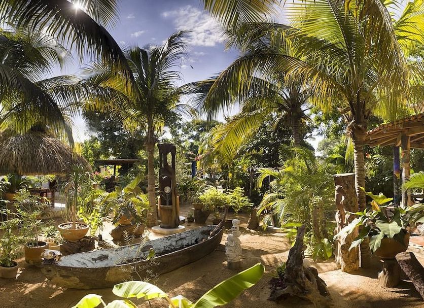 Hotel Villa Mozart y Macondo in Puerto Escondido, tropical garden with palm trees and rustic seating