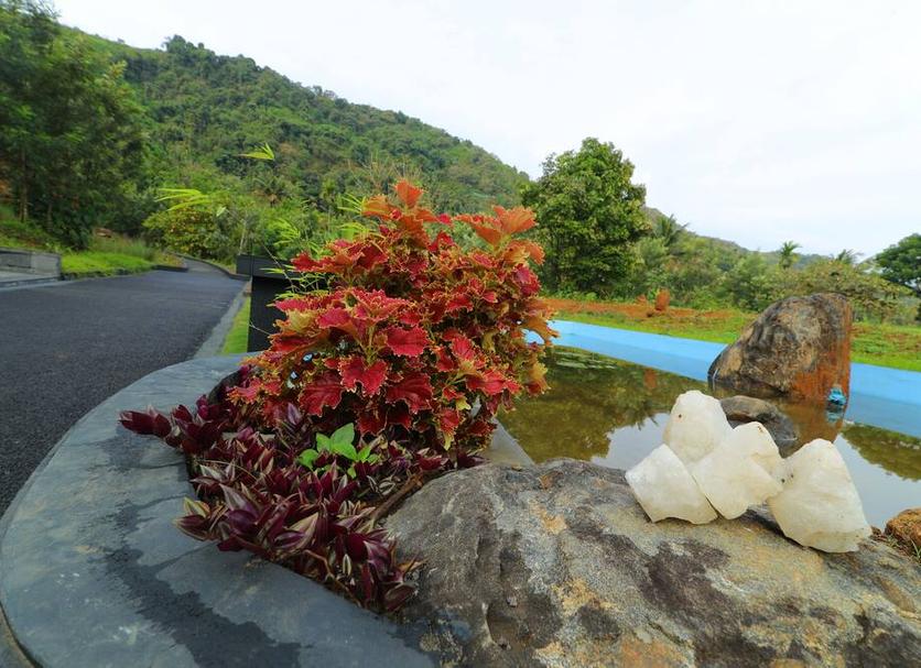 Outdoors view Photo