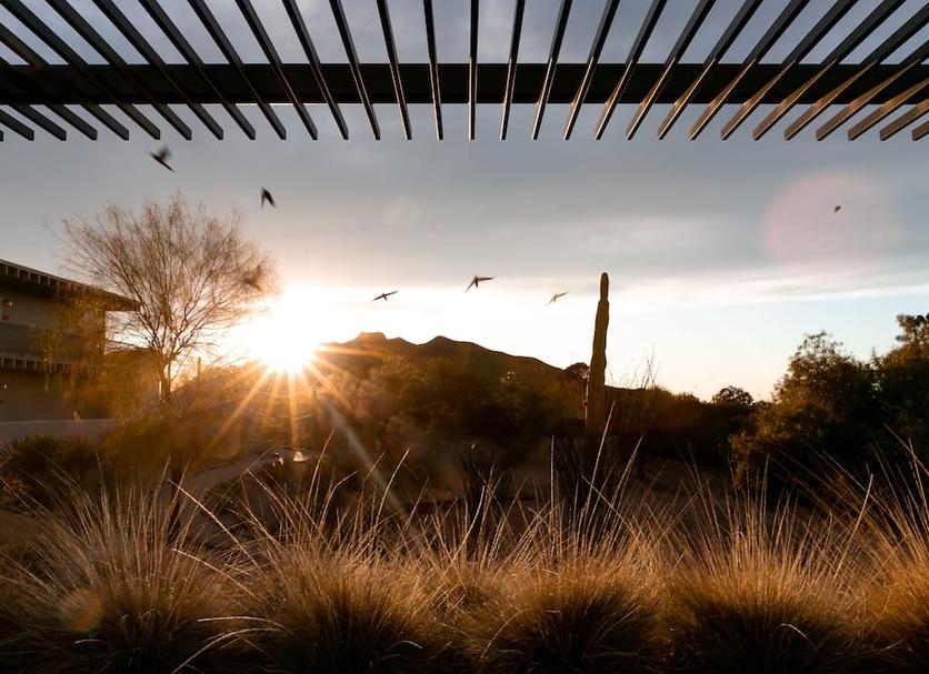 Outdoors view Photo