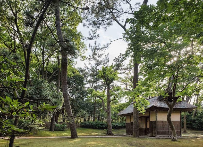 Outdoors view Photo
