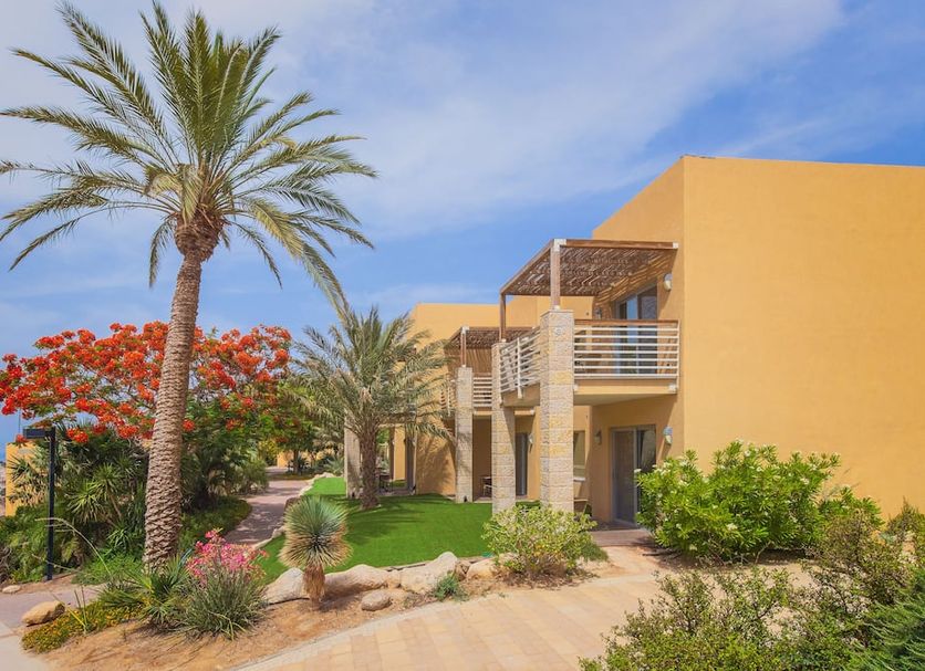 Ein Gedi Kibbutz Hotel in En Gedi with palm trees, landscaped gardens, and a terrace beside sandy paths