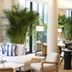 Five Seas by Inwood Hotels Cannes lobby with large windows, lounge seating and tall potted palms