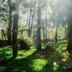 Outdoors view