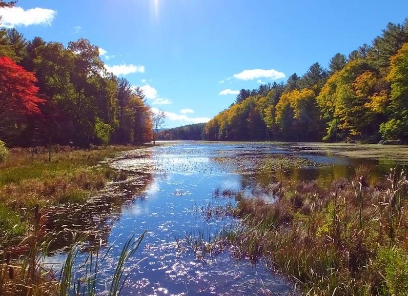 Outdoors view Photo