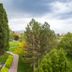 The Kimball at Temple Square in Salt Lake City, landscaped garden with tall trees and mountain views