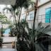 Hotel Mar Azul in Manta with tropical courtyard and a glimpse of the pool between buildings