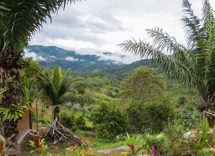 Outdoors view Photo