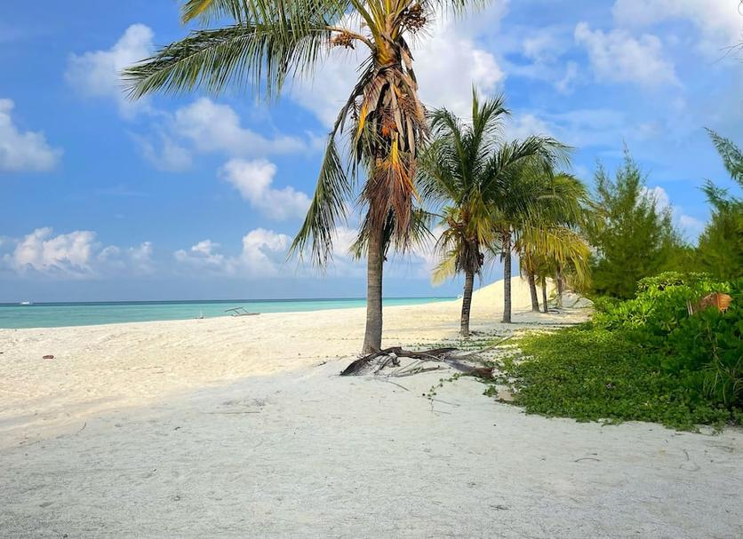 Beach Photo