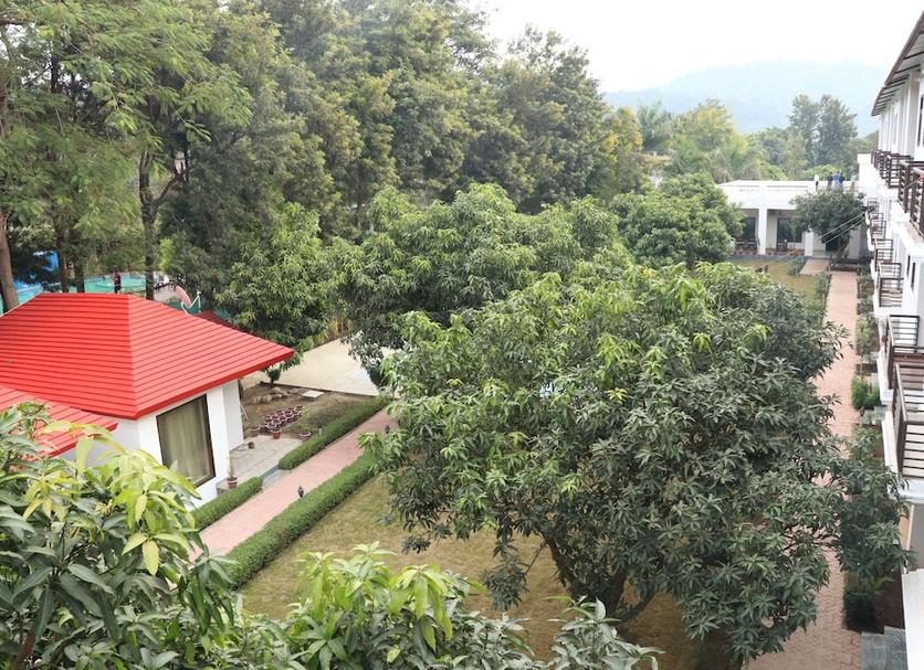 Other Photo