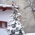 Outdoors view