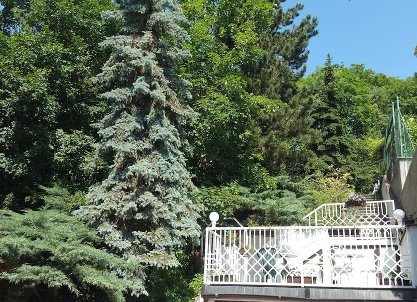 Outdoors view Photo