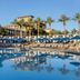 The Westin Kierland Resort & Spa in Scottsdale with a palm-lined pool and lounge chairs