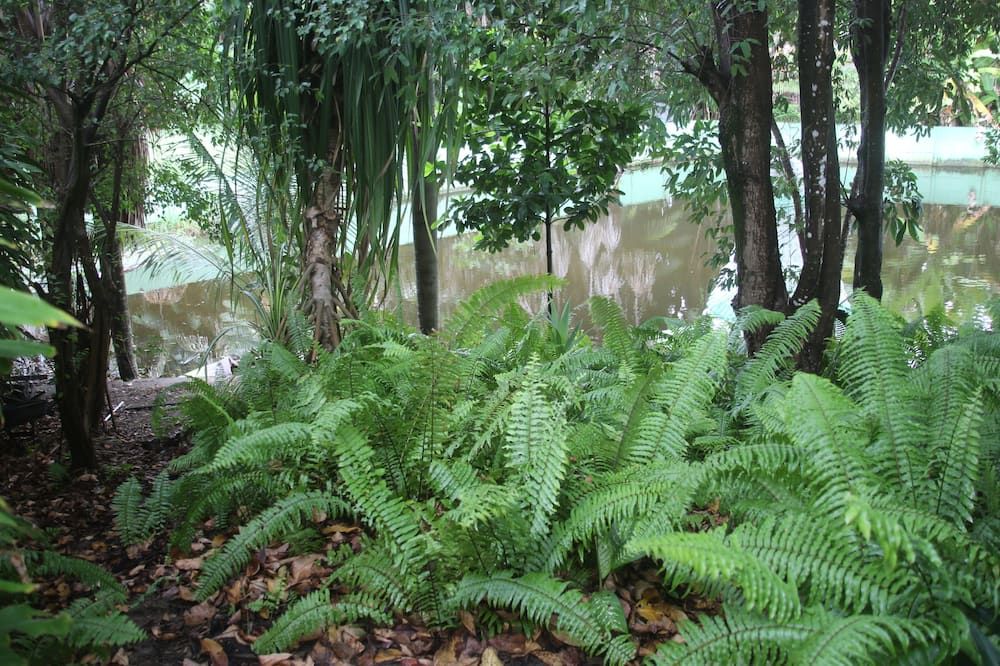Outdoors view