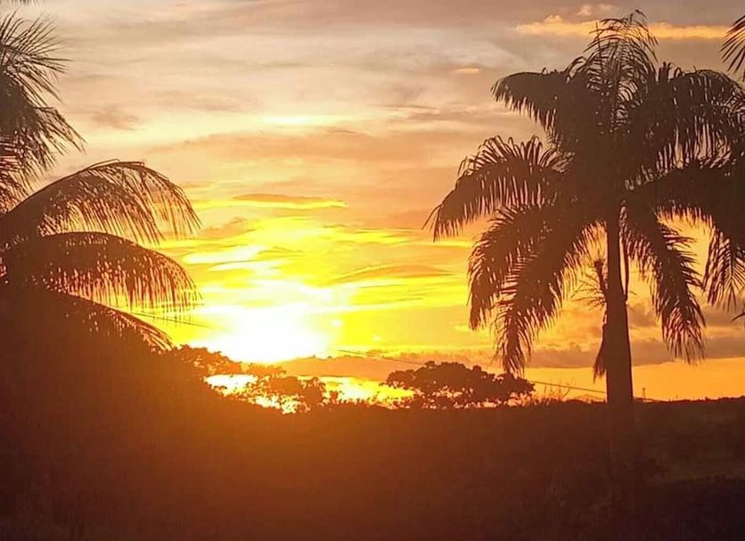 Sunset over palm trees at Nasau Resort & Villas in Nadi