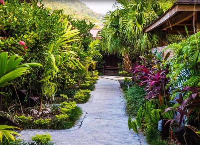 Outdoors view Photo