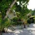 Blue World Dharavandhoo in Dharavandhoo, shaded sandy garden with hammock and tropical trees