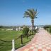 Nour Palace Resort And Thalasso in Mahdia: palm-lined path to the beach with ocean view