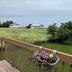 Outdoors view