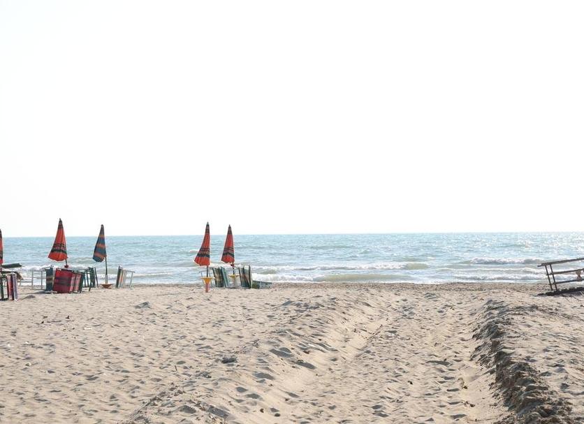 Beach Photo