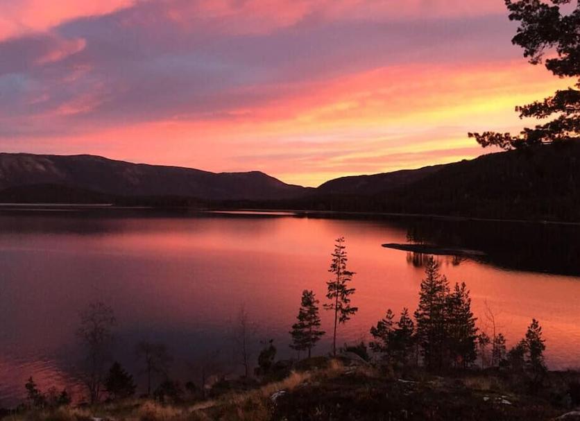 Outdoors view Photo