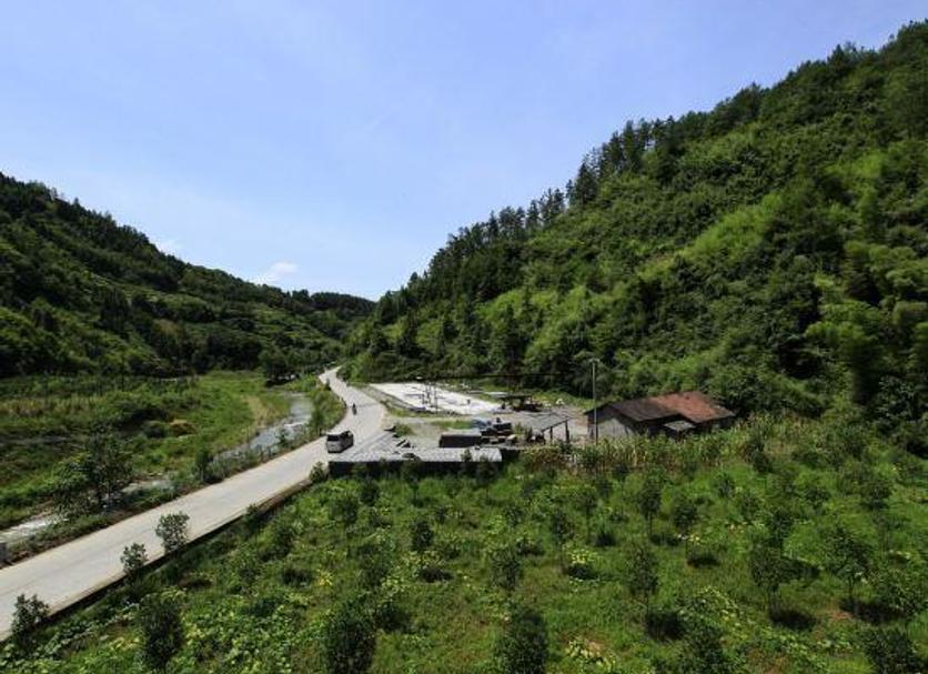 Outdoors view Photo