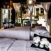 Club Cocomo, Hartbeespoort: bedroom with twin beds opening to a patio and pool view